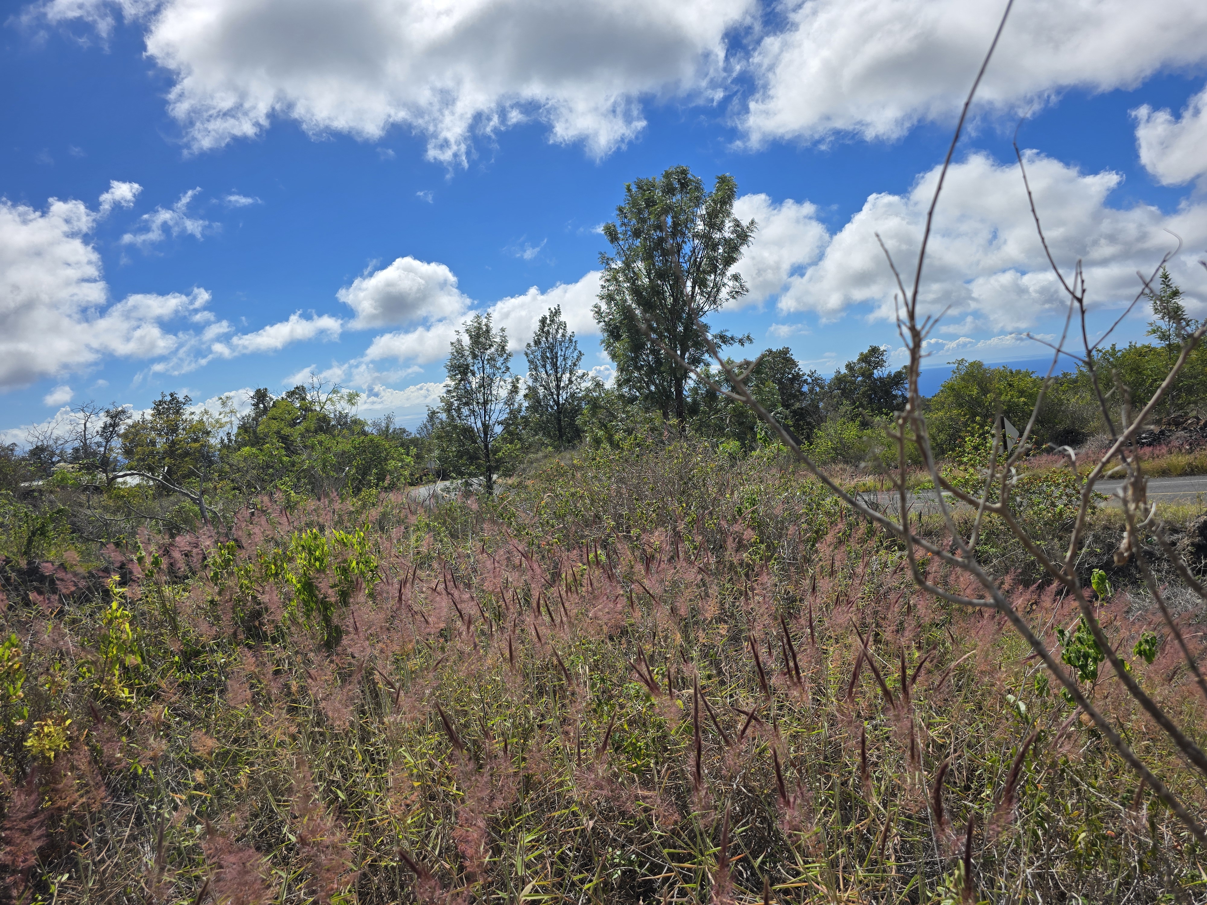 10 Paradise Parkway Ocean View, HI 96704 - Photo 3 of 5 a view of a city