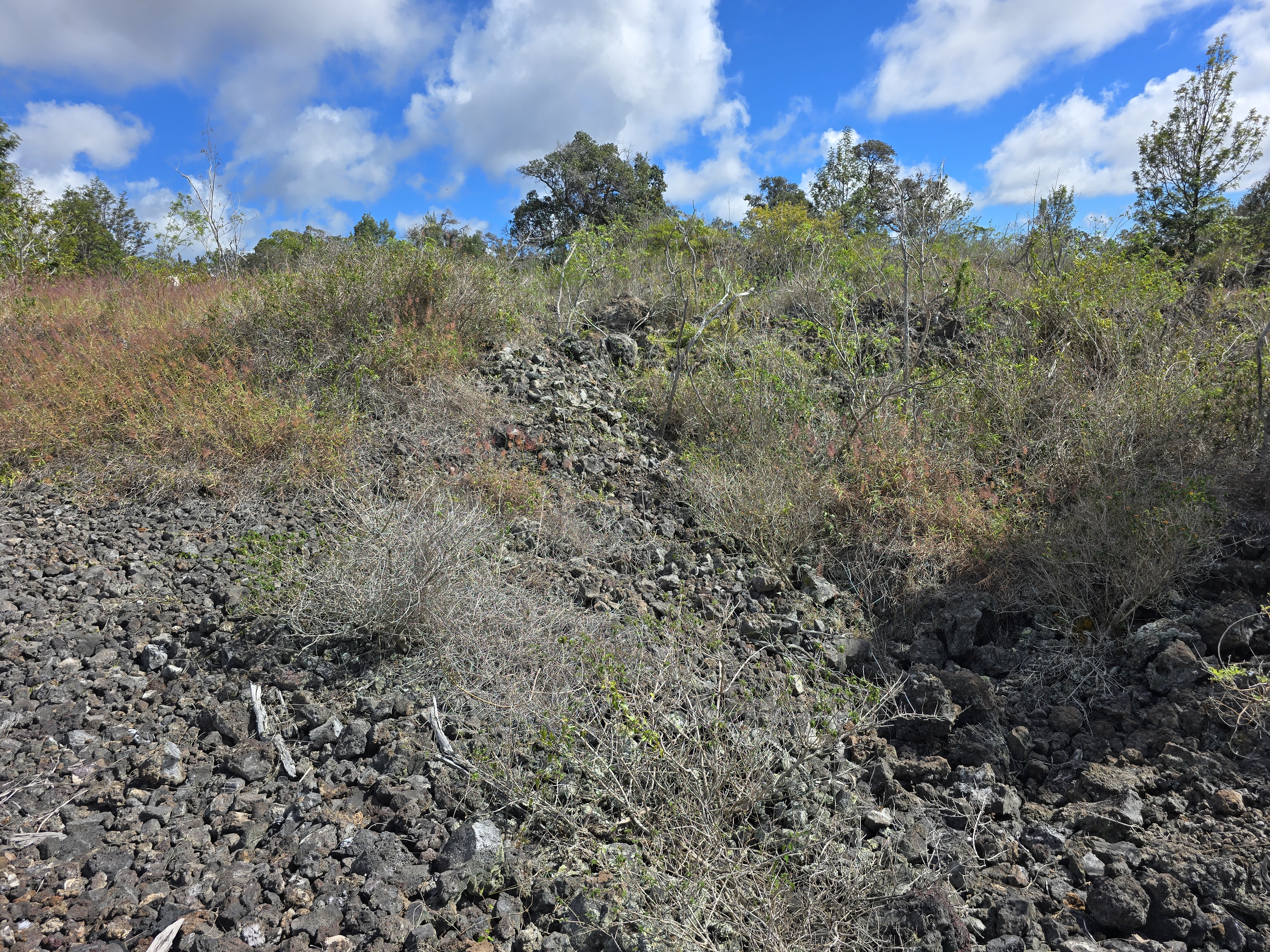 10 Paradise Parkway Ocean View, HI 96704 - Photo 5 of 5 a view of a city with lush green forest