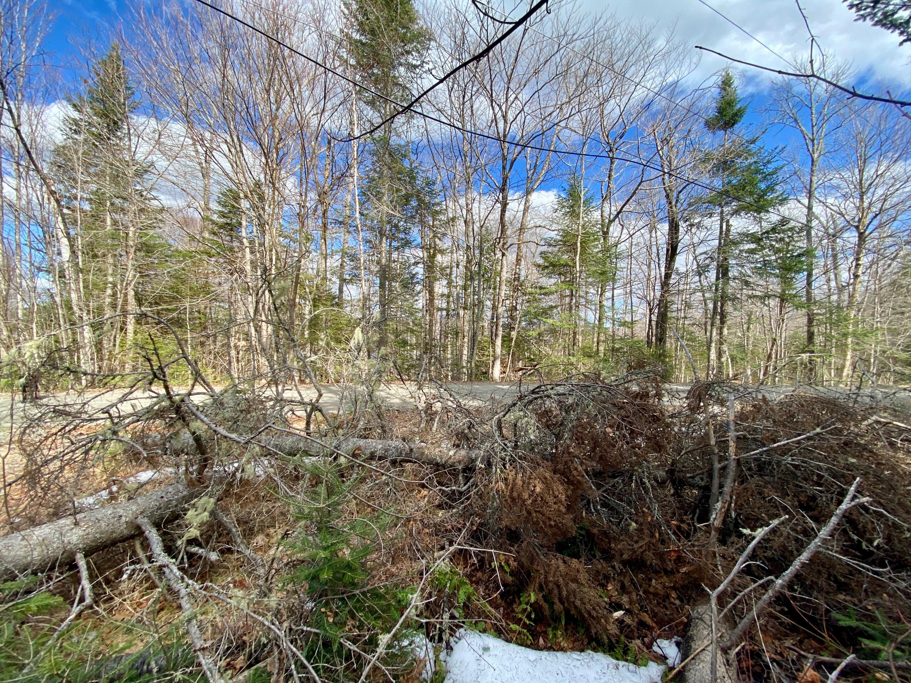 M34-l44.2a M34-l44.2a Curley Road Rangeley, ME 04970 - Photo 12 of 14 curley road lot A 02