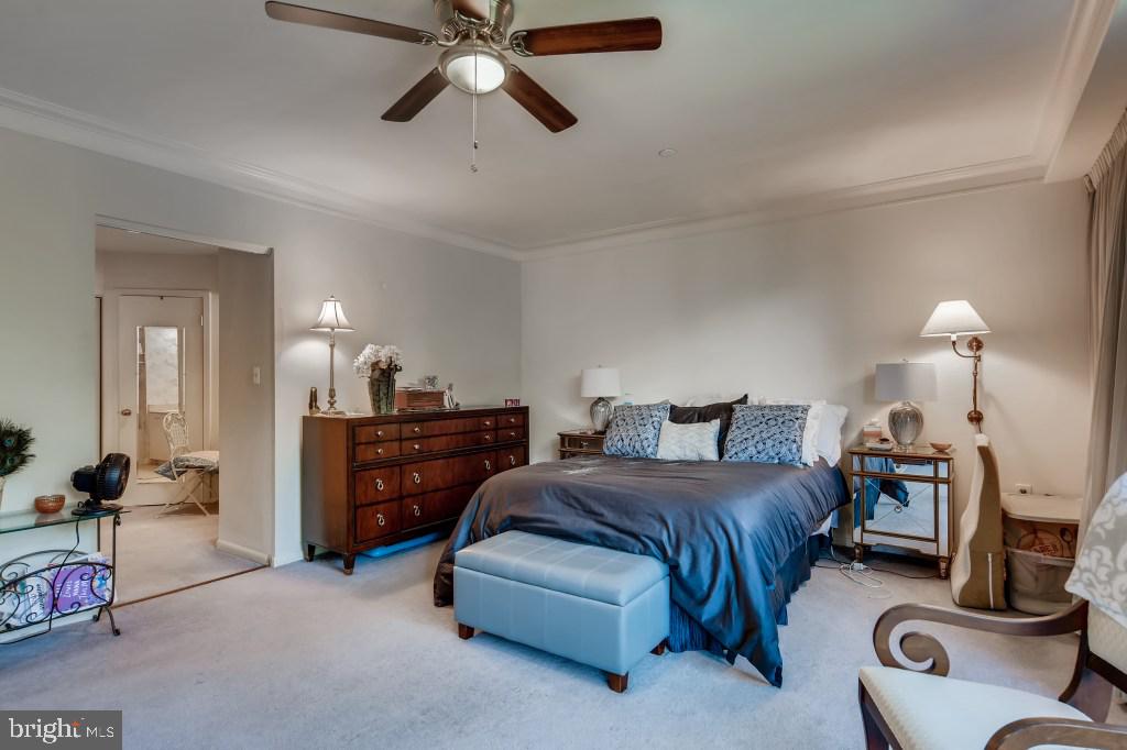 4001 Old Court Road, Unit 101 Pikesville, MD 21208 - Photo 18 of 27 LARGE PRIMARY BEDROOM WITH CEILING FAN
