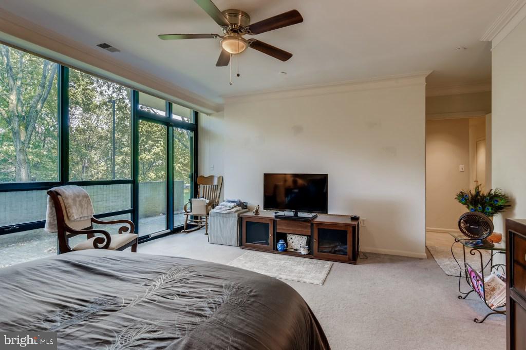 4001 Old Court Road, Unit 101 Pikesville, MD 21208 - Photo 19 of 27 PRIMARY BEDROOM WITH DOOR TO PATIO