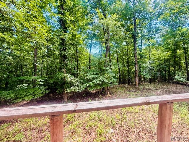 88 Rochester Lane Wappapello, MO 63966 - Photo 10 of 53