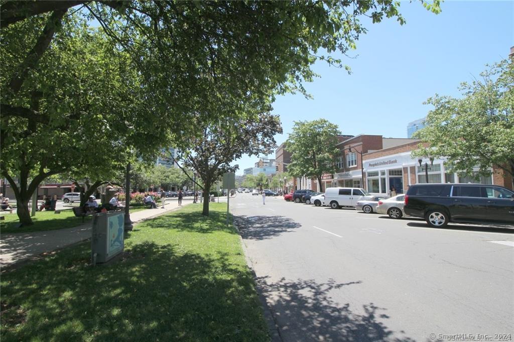 99 Prospect Street, Unit 7K Stamford, CT 06901 - Photo 25 of 25 a view of a park with bench and trees
