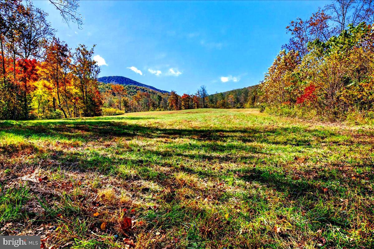 290 Riley Hollow Road Huntly, VA 22640 - Photo 145 of 148