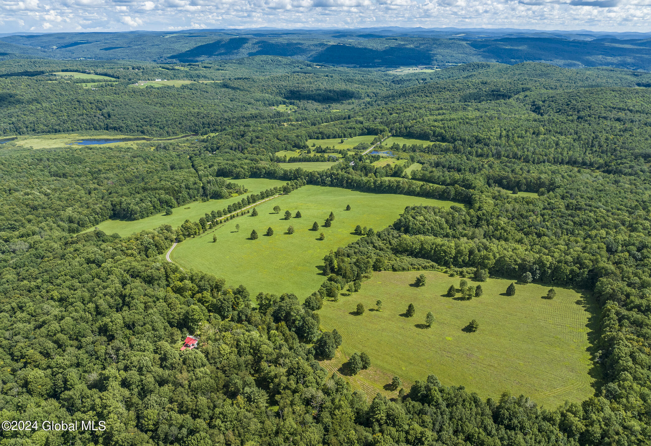 203 Indian Run Road Cooperstown, NY 13326 - Photo 4 of 48 203IRR_016 - Copy - Copy