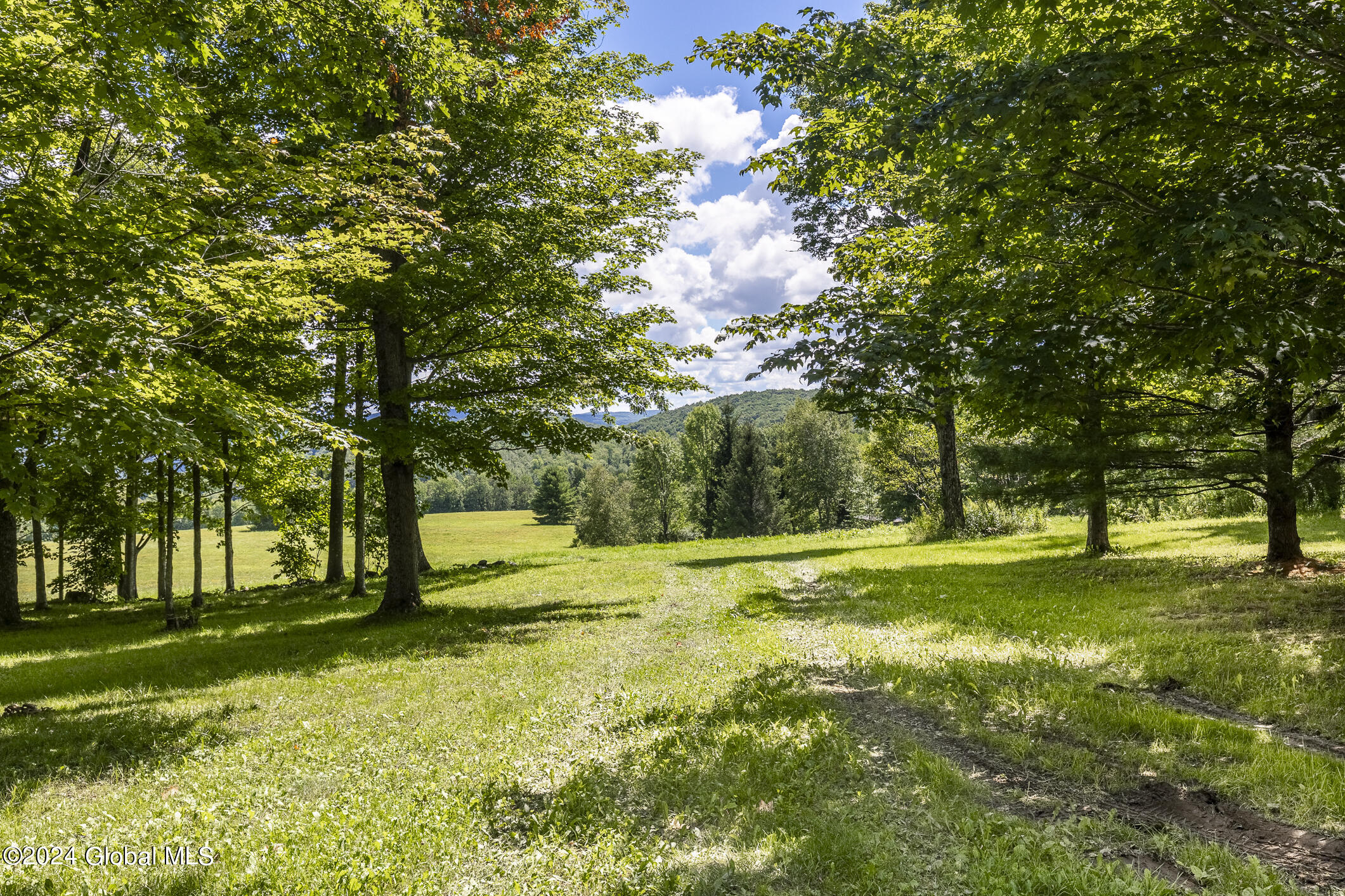 203 Indian Run Road Cooperstown, NY 13326 - Photo 46 of 48 203IRR_045 - Copy - Copy