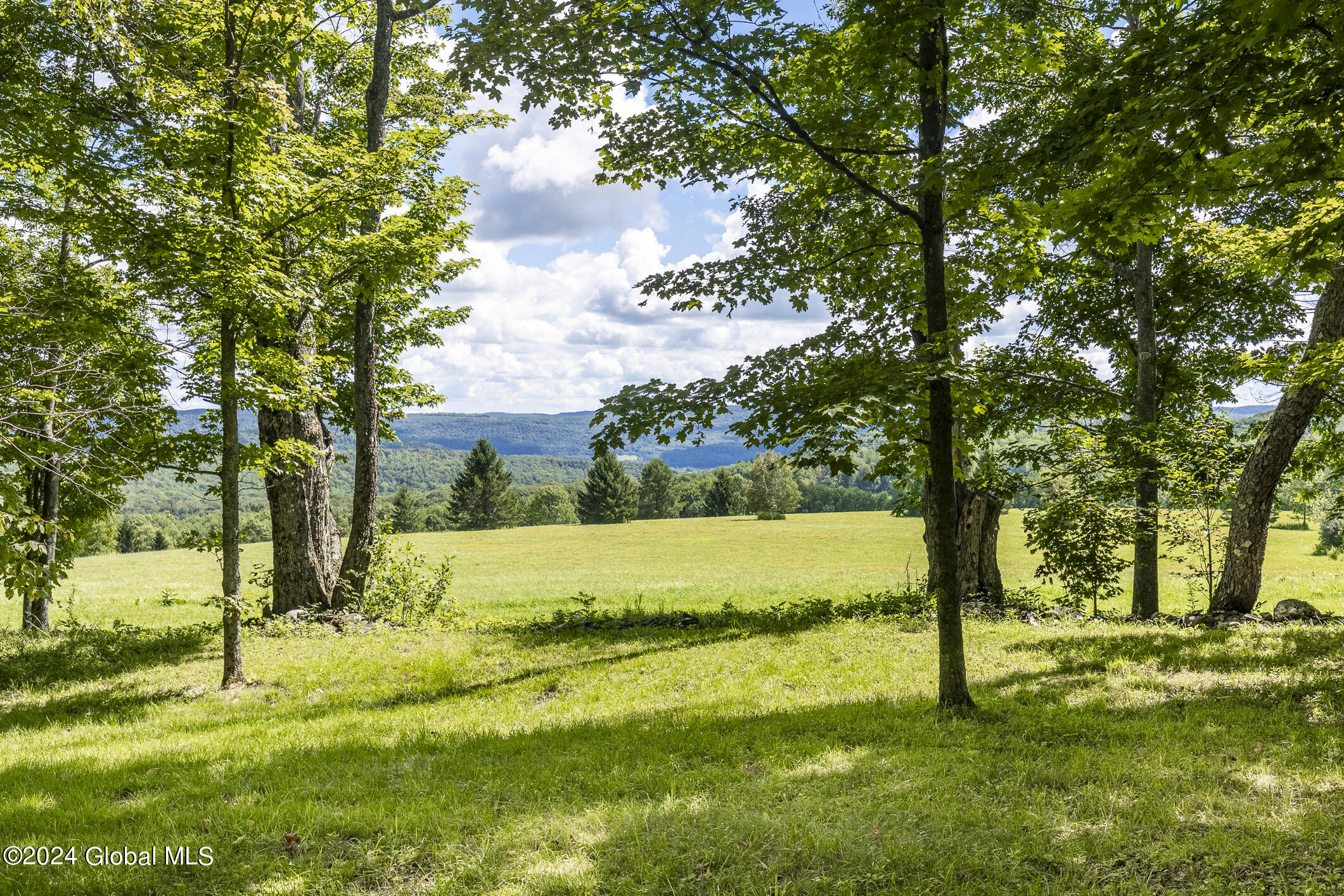 203 Indian Run Road Cooperstown, NY 13326 - Photo 47 of 48 203IRR_046 - Copy - Copy