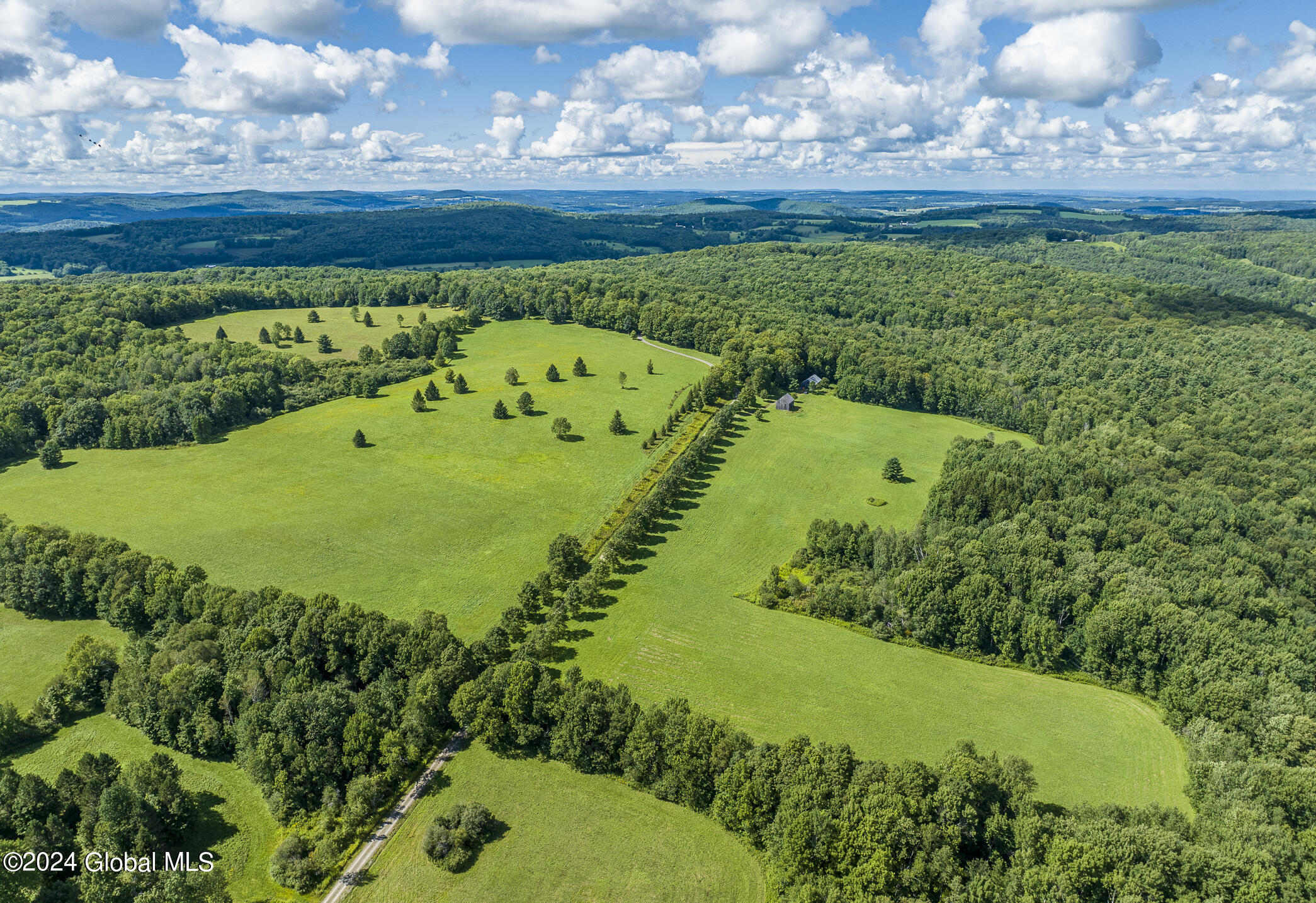 203 Indian Run Road Cooperstown, NY 13326 - Photo 6 of 48 203IRR_021 - Copy - Copy