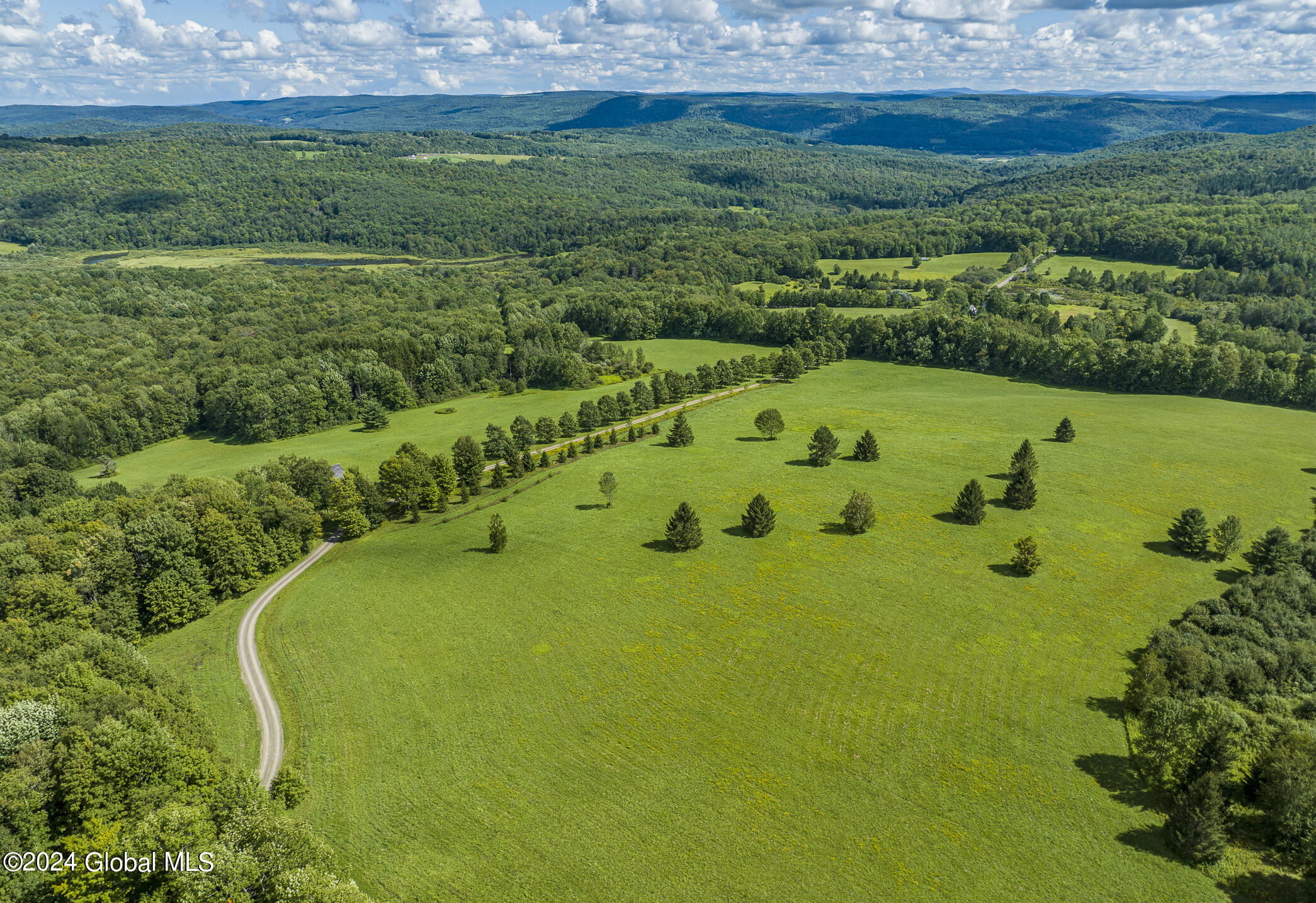 203 Indian Run Road Cooperstown, NY 13326 - Photo 7 of 48 203IRR_014 - Copy - Copy