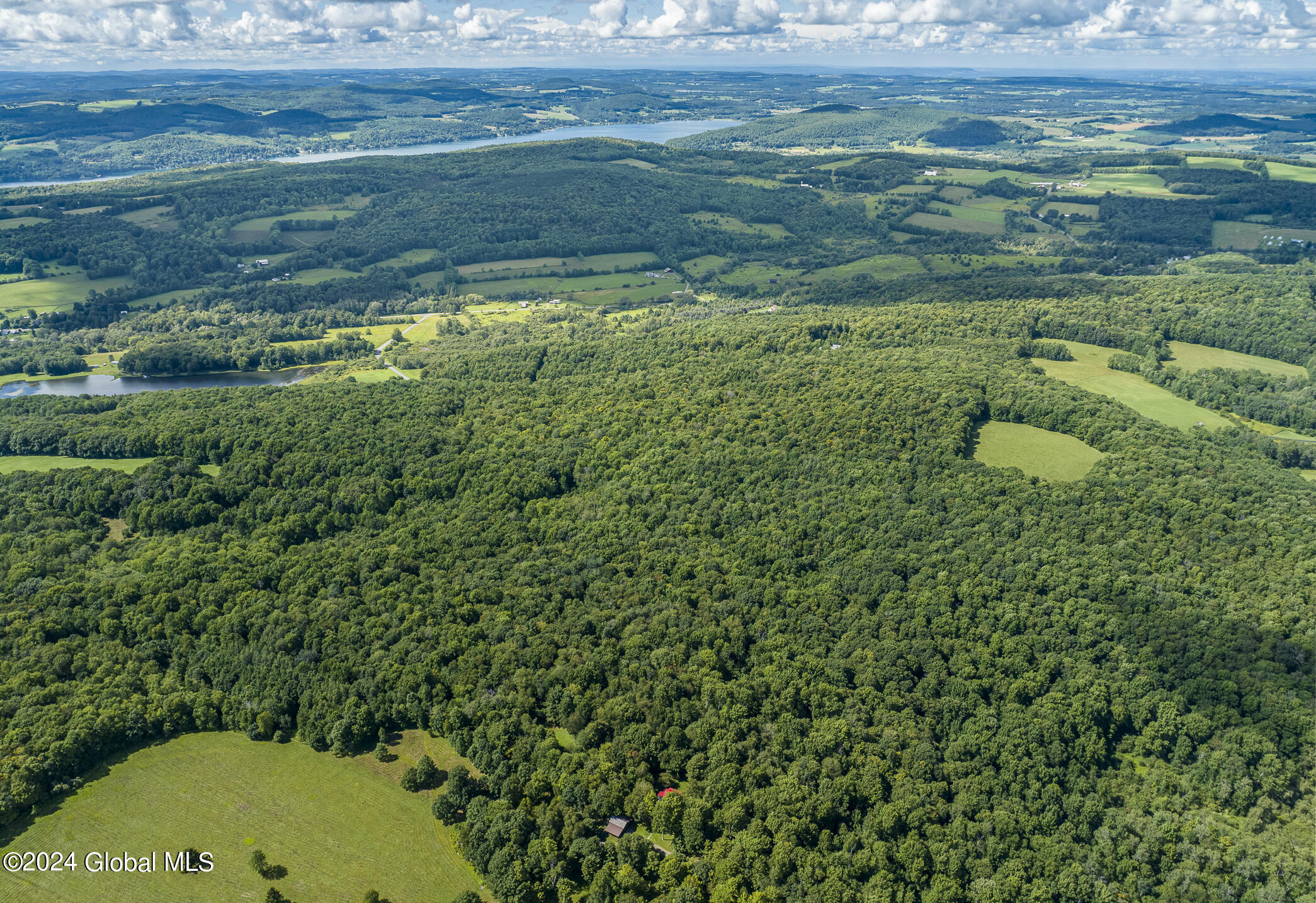 203 Indian Run Road Cooperstown, NY 13326 - Photo 8 of 48 203IRR_018 - Copy - Copy