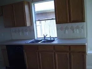 a kitchen with a sink a window and cabinets