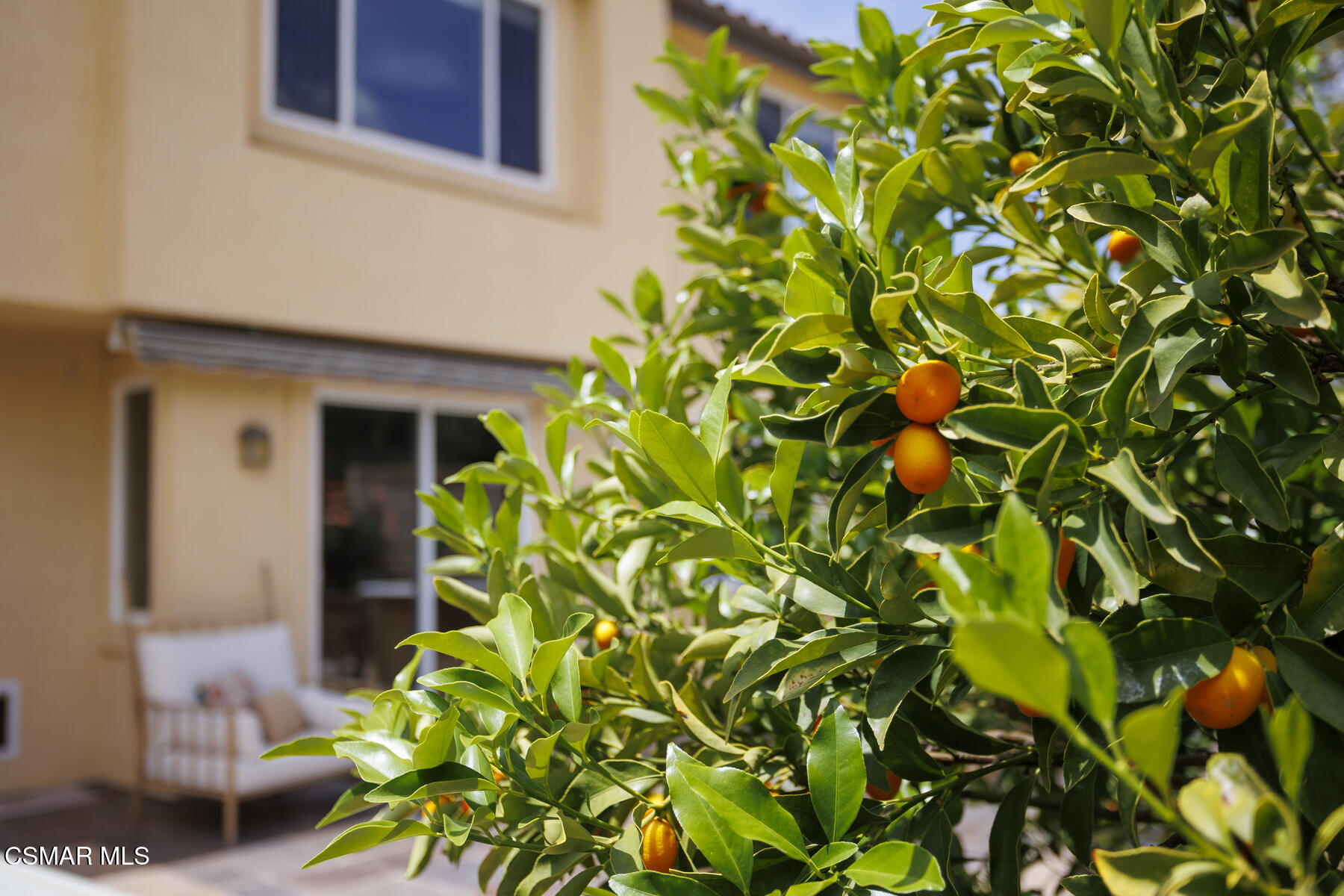 5859 Evening Sky Drive Simi Valley, CA 93063 - Photo 49 of 50 a backyard of a house with lots of green space
