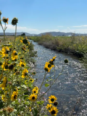 $1,599,000 | 139 Baseline Road, Blaine County, ID 83313