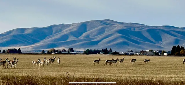 $1,599,000 | 139 Baseline Road, Blaine County, ID 83313