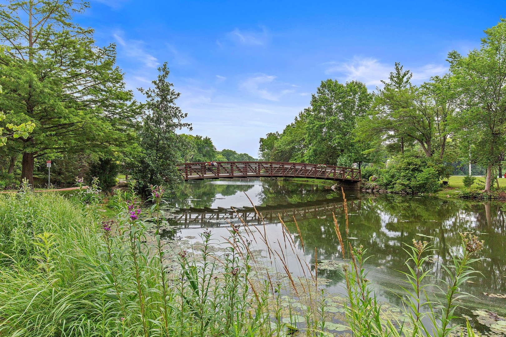 25287 Wren Road Tower Lakes, IL 60010 - Photo 47 of 51 a backyard of a house with lots of green space