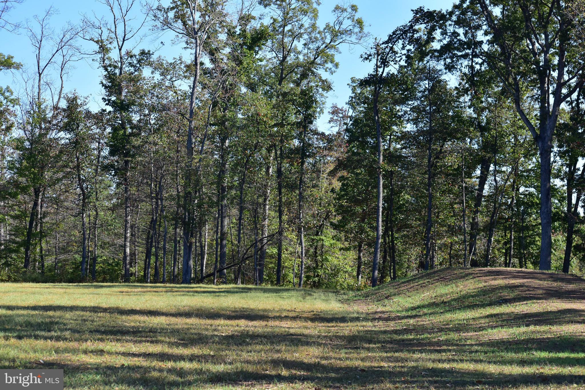 439-acres Laurel Grove Road Winchester, VA 22602 - Photo 11 of 61 Building Site 1