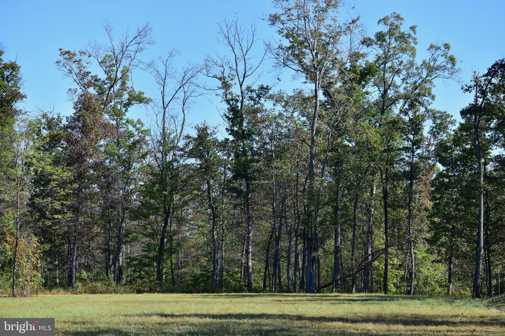 439-acres Laurel Grove Road Winchester, VA 22602 - Photo 12 of 61
