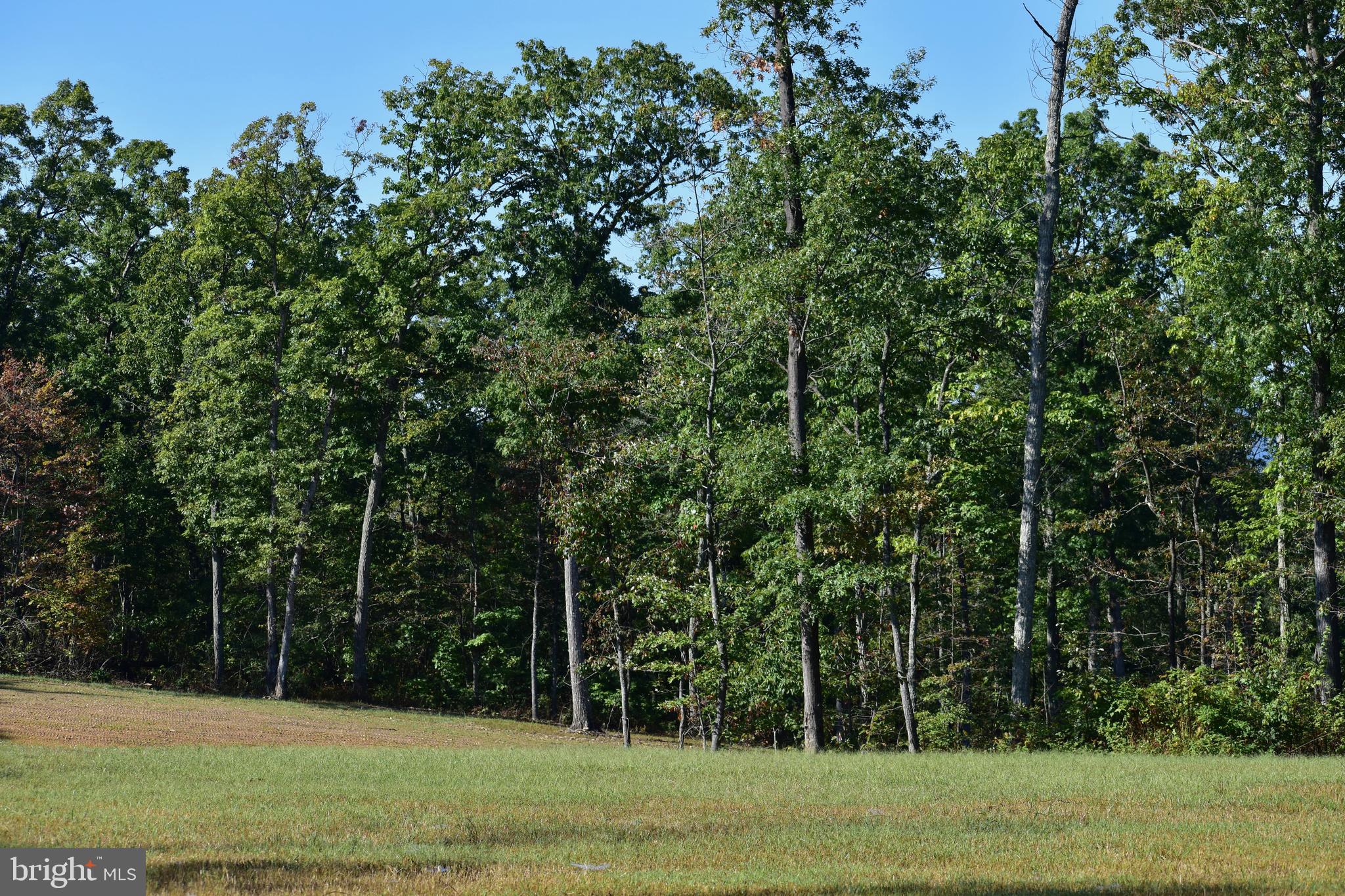 439-acres Laurel Grove Road Winchester, VA 22602 - Photo 13 of 61 Building Site 1