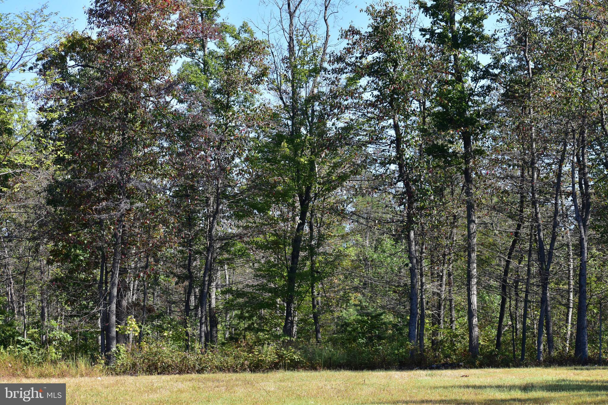 439-acres Laurel Grove Road Winchester, VA 22602 - Photo 14 of 61 Lot 1 + 128 + Acres