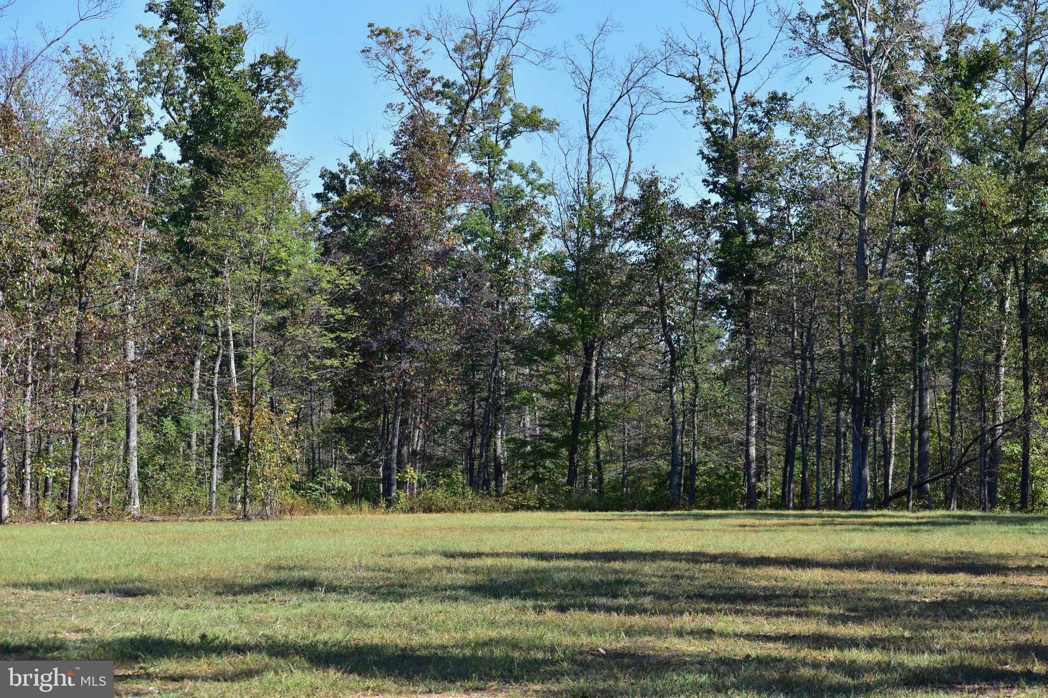 439-acres Laurel Grove Road Winchester, VA 22602 - Photo 15 of 61 Lot 1