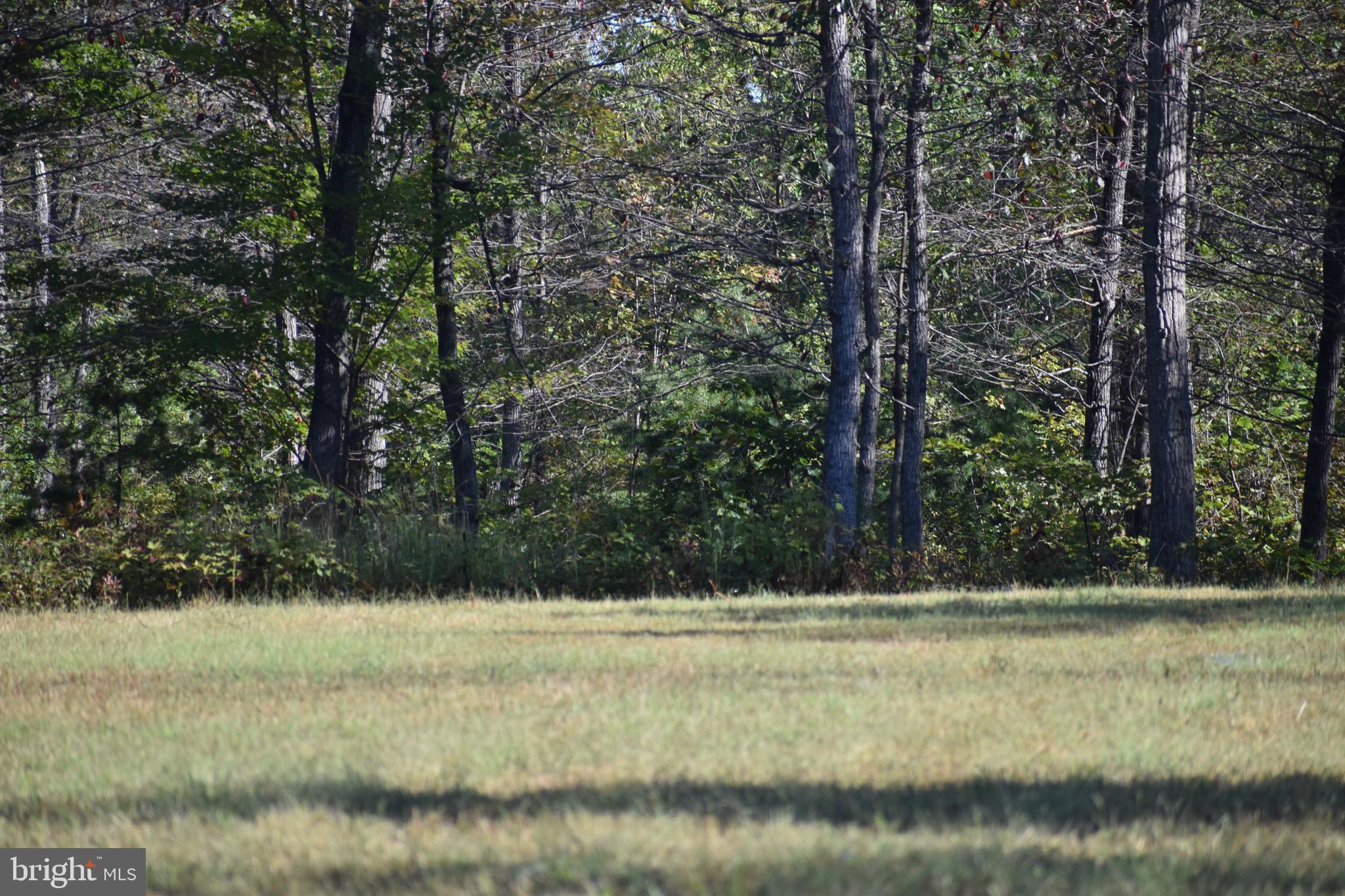 439-acres Laurel Grove Road Winchester, VA 22602 - Photo 16 of 61 5 Bedroom Perc