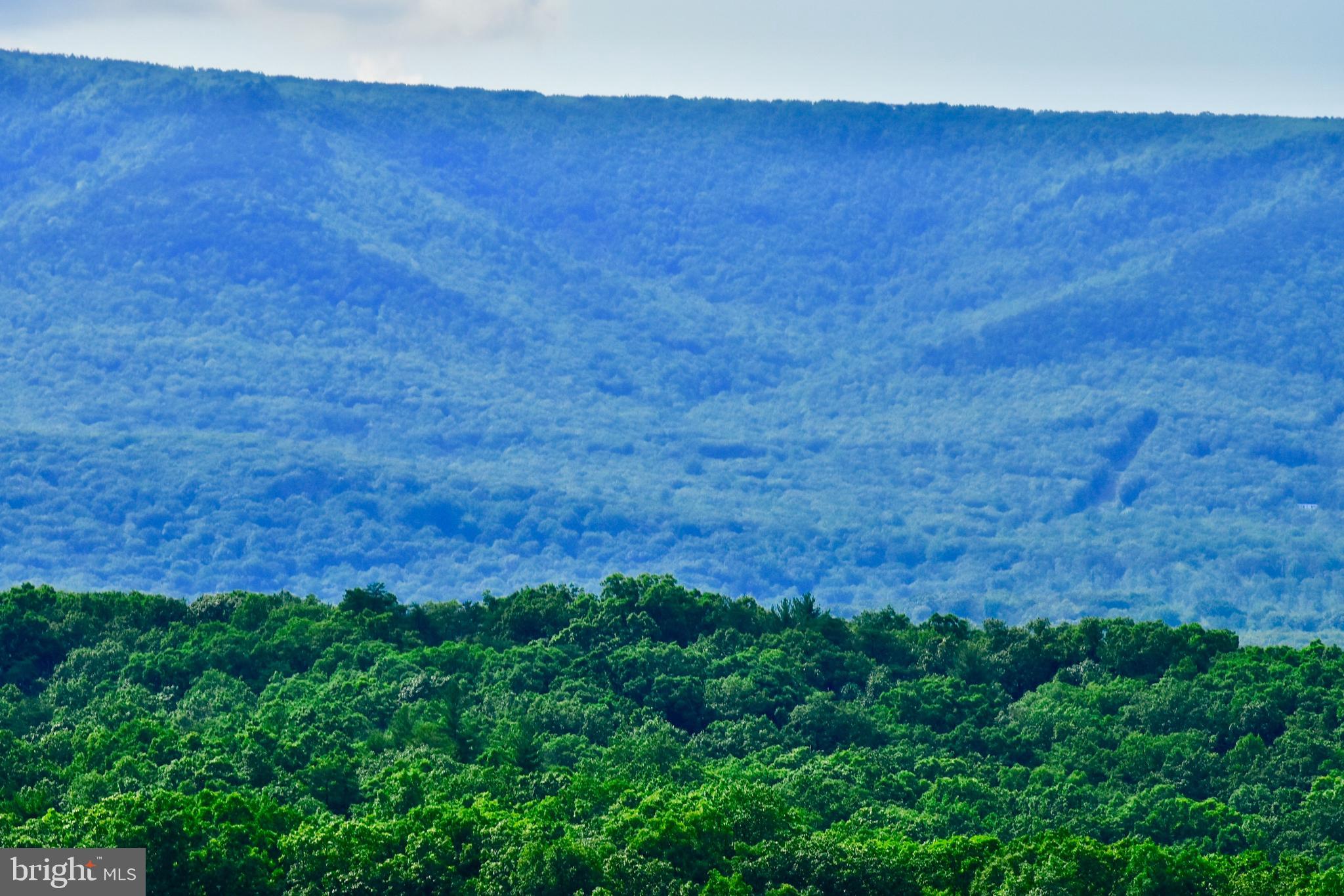 439-acres Laurel Grove Road Winchester, VA 22602 - Photo 17 of 61 View from lot 2 & 3