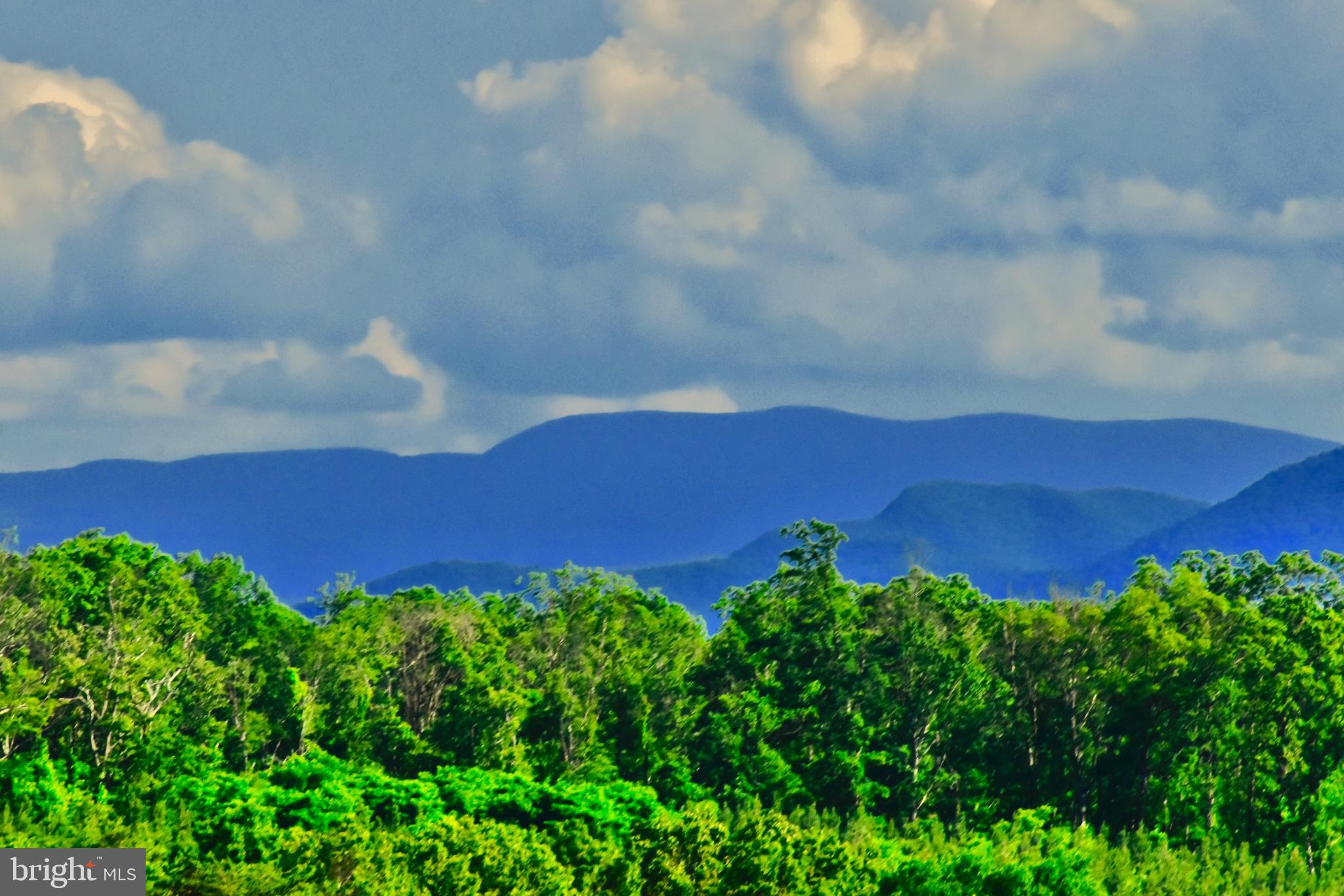 439-acres Laurel Grove Road Winchester, VA 22602 - Photo 19 of 61 View West