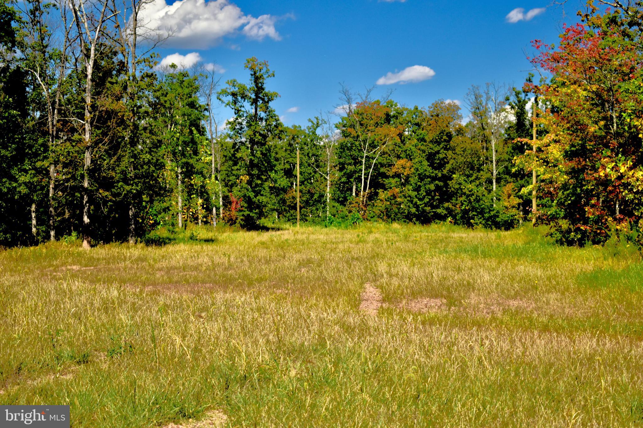439-acres Laurel Grove Road Winchester, VA 22602 - Photo 22 of 61 Multiple cleared Building sites