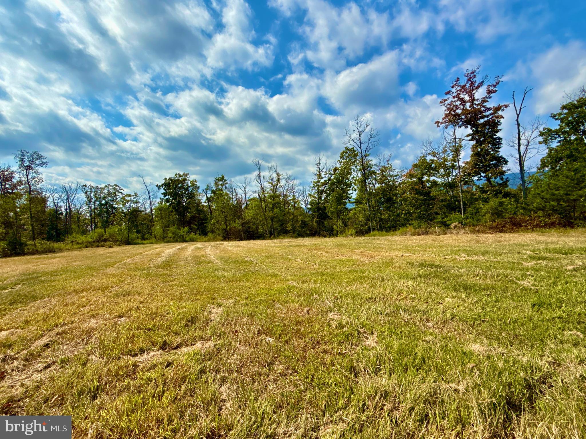 439-acres Laurel Grove Road Winchester, VA 22602 - Photo 23 of 61 Perc 4 bedroom 158+ Acre lot