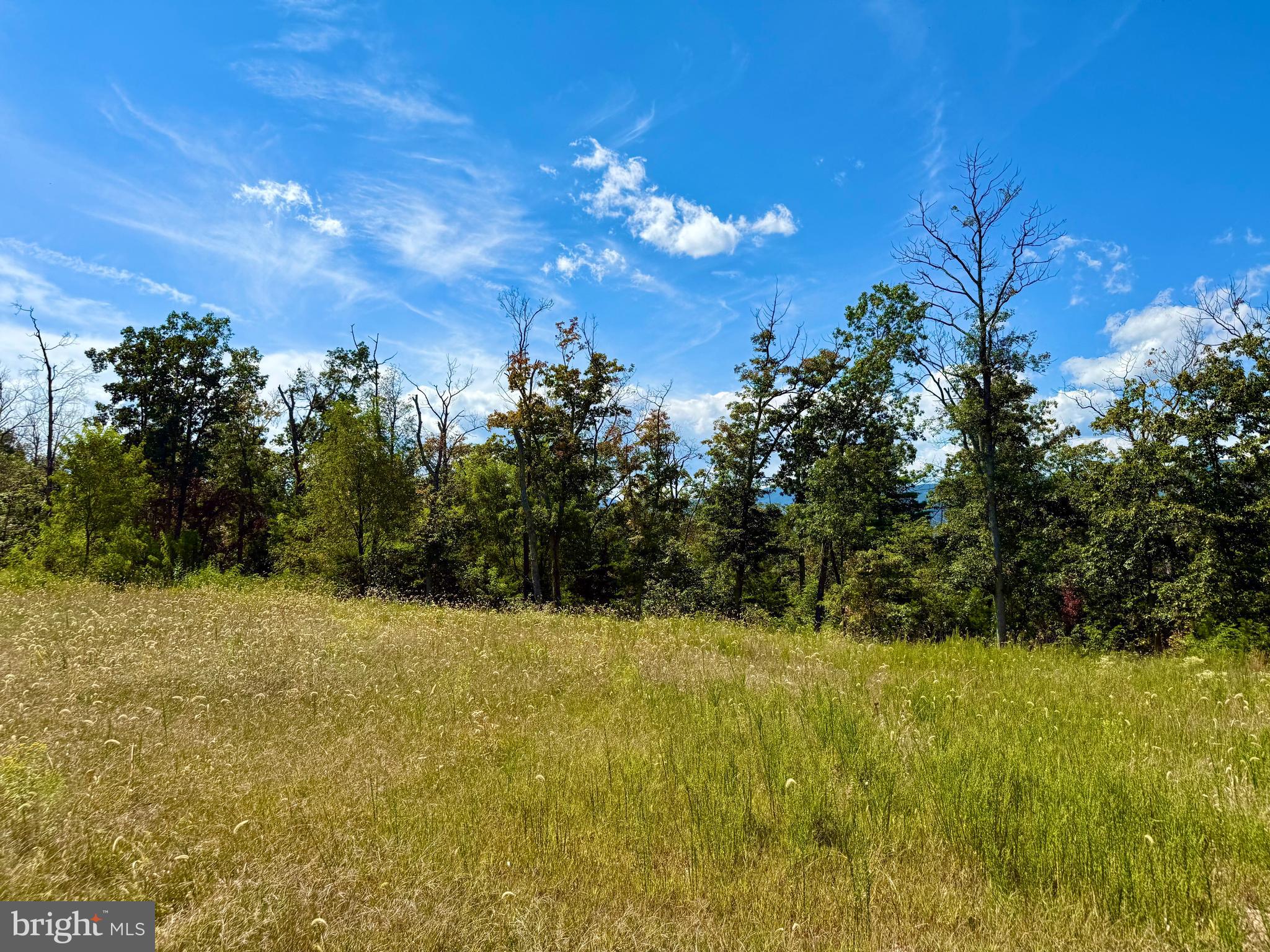 439-acres Laurel Grove Road Winchester, VA 22602 - Photo 24 of 61 Another Potential building lot