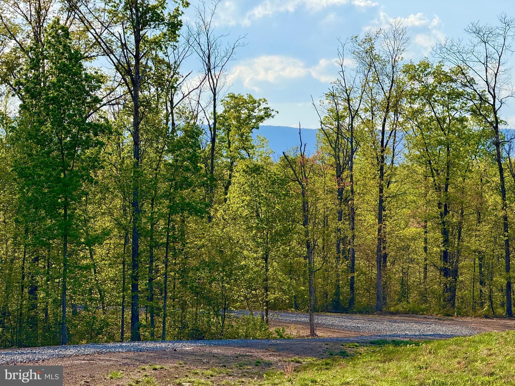439-acres Laurel Grove Road Winchester, VA 22602 - Photo 26 of 61