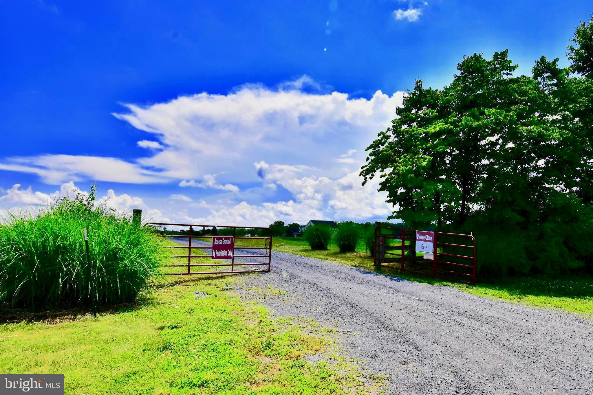 439-acres Laurel Grove Road Winchester, VA 22602 - Photo 3 of 61 Access road off of Laurel Grove Rd.