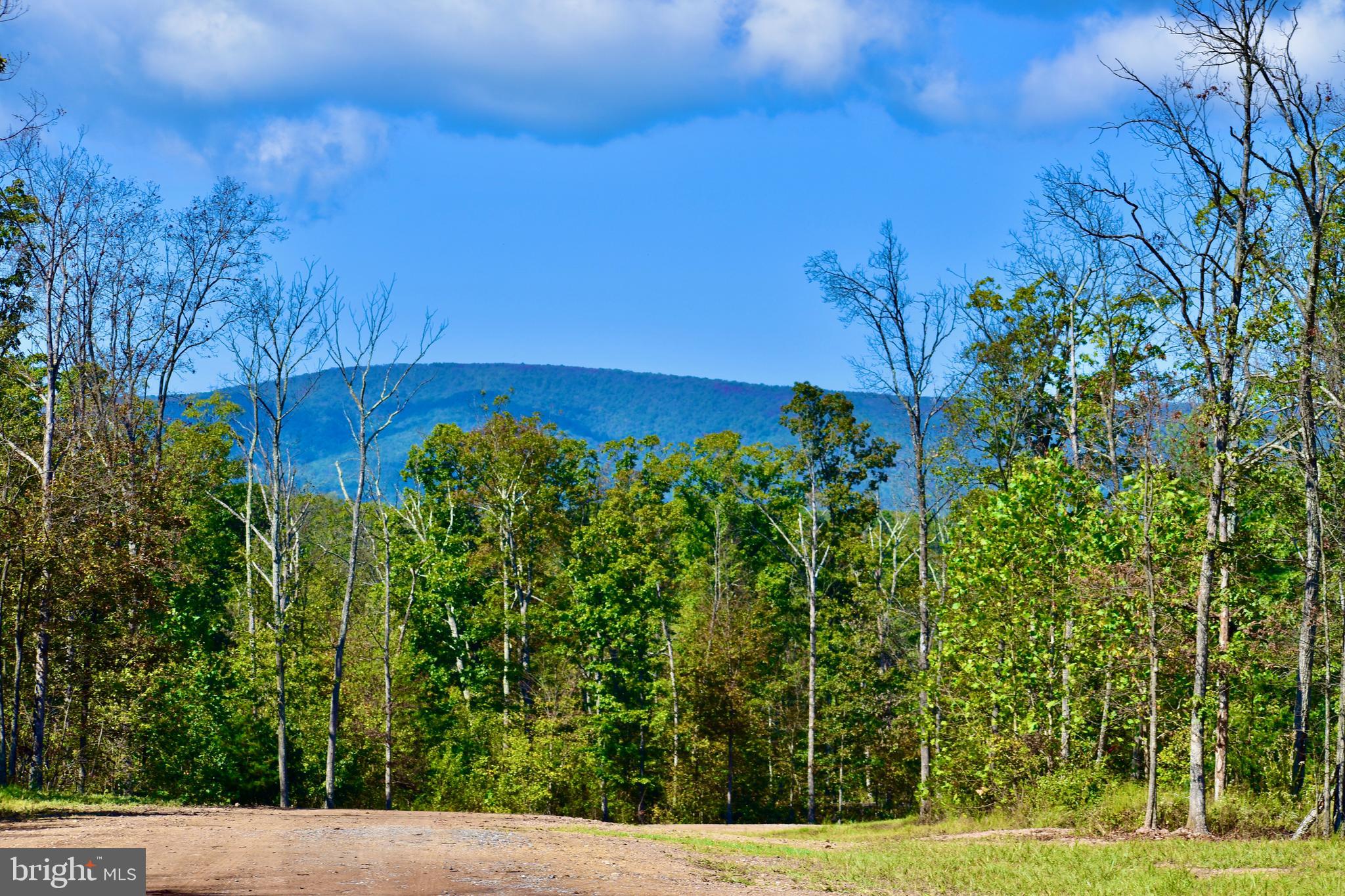 439-acres Laurel Grove Road Winchester, VA 22602 - Photo 36 of 61