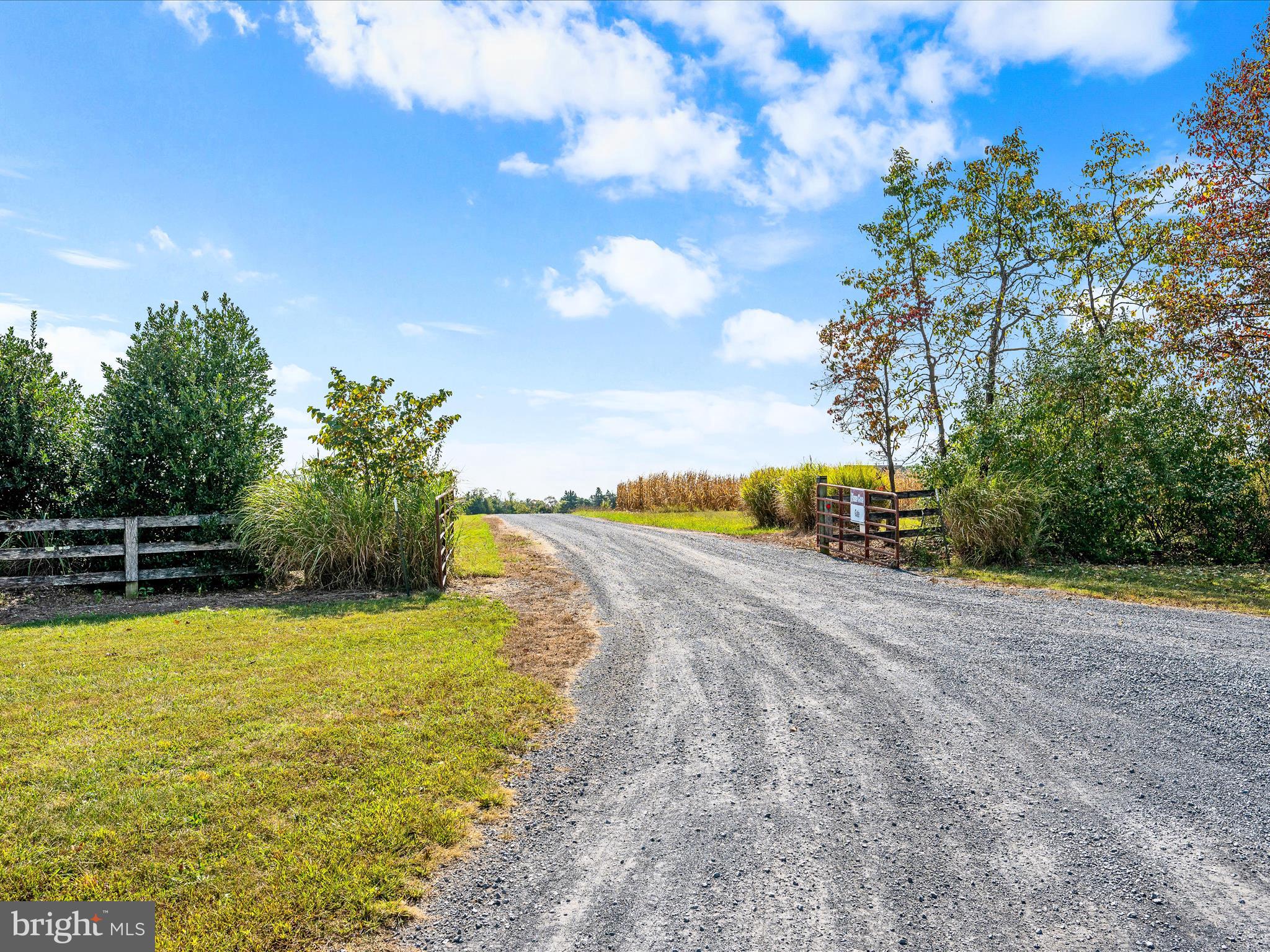 439-acres Laurel Grove Road Winchester, VA 22602 - Photo 4 of 61 Easement Entrance