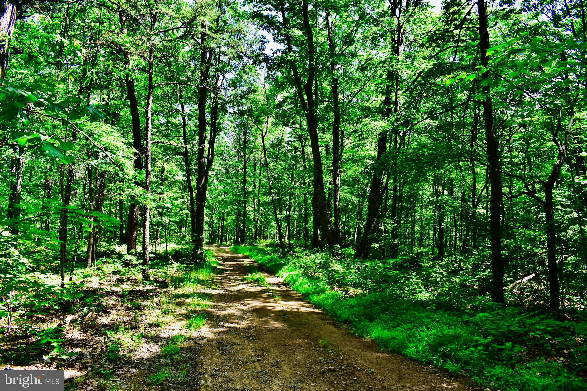 439-acres Laurel Grove Road Winchester, VA 22602 - Photo 45 of 61 4x4 Trail South Side of Property