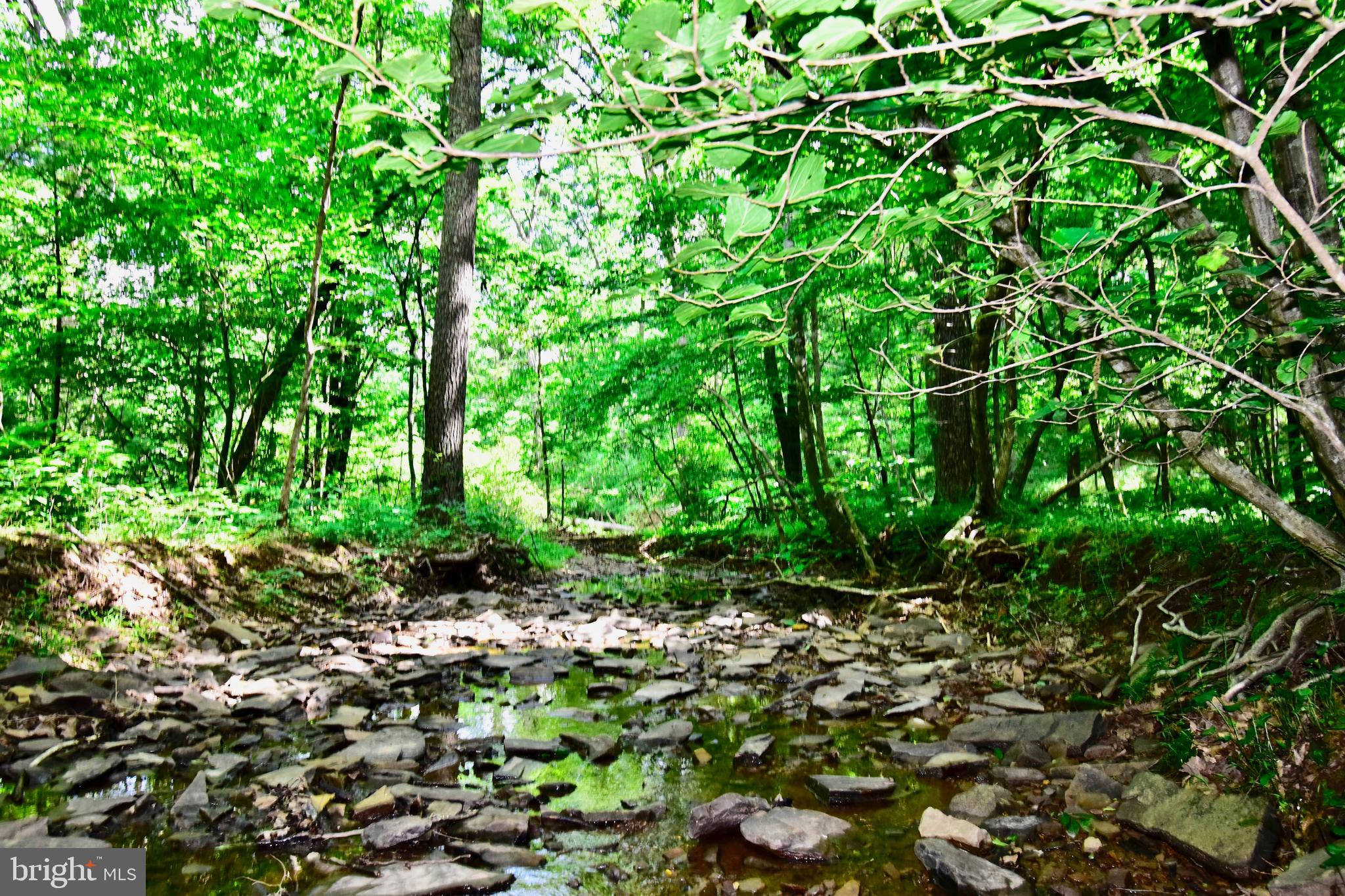 439-acres Laurel Grove Road Winchester, VA 22602 - Photo 46 of 61 South Side of Huffman Hollow Stream