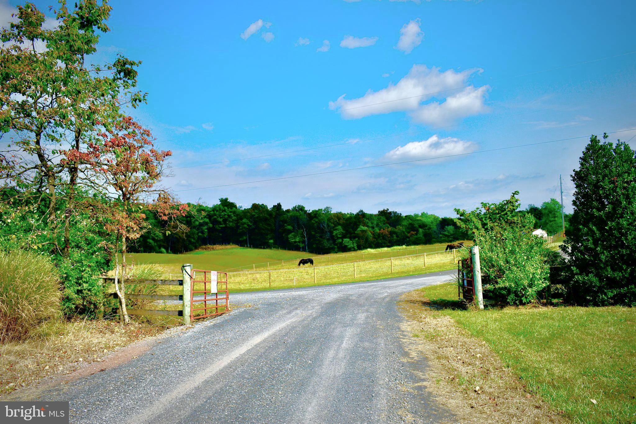 439-acres Laurel Grove Road Winchester, VA 22602 - Photo 47 of 61 Looking out of the driveway to Laurel Grove Road