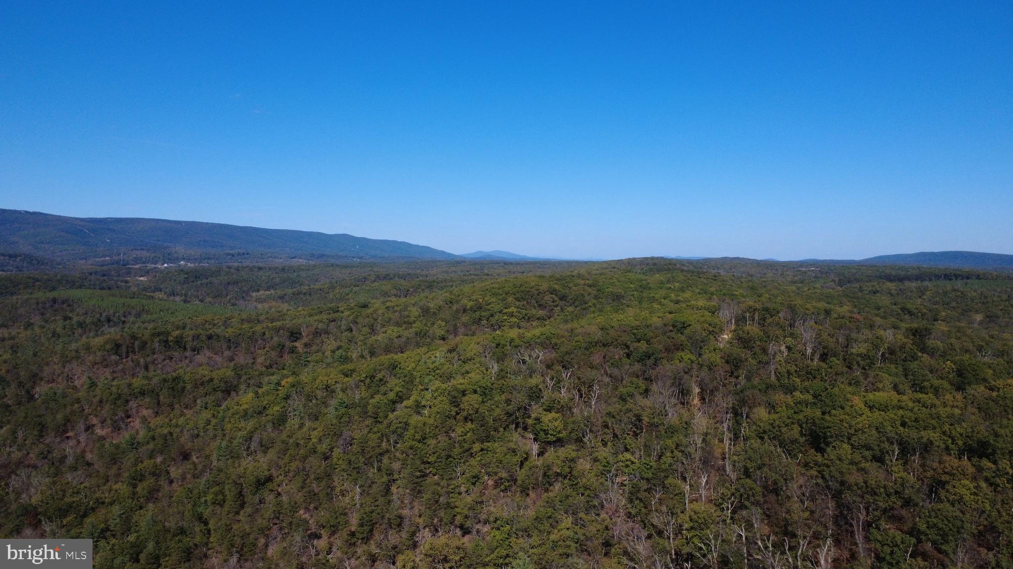 439-acres Laurel Grove Road Winchester, VA 22602 - Photo 53 of 61