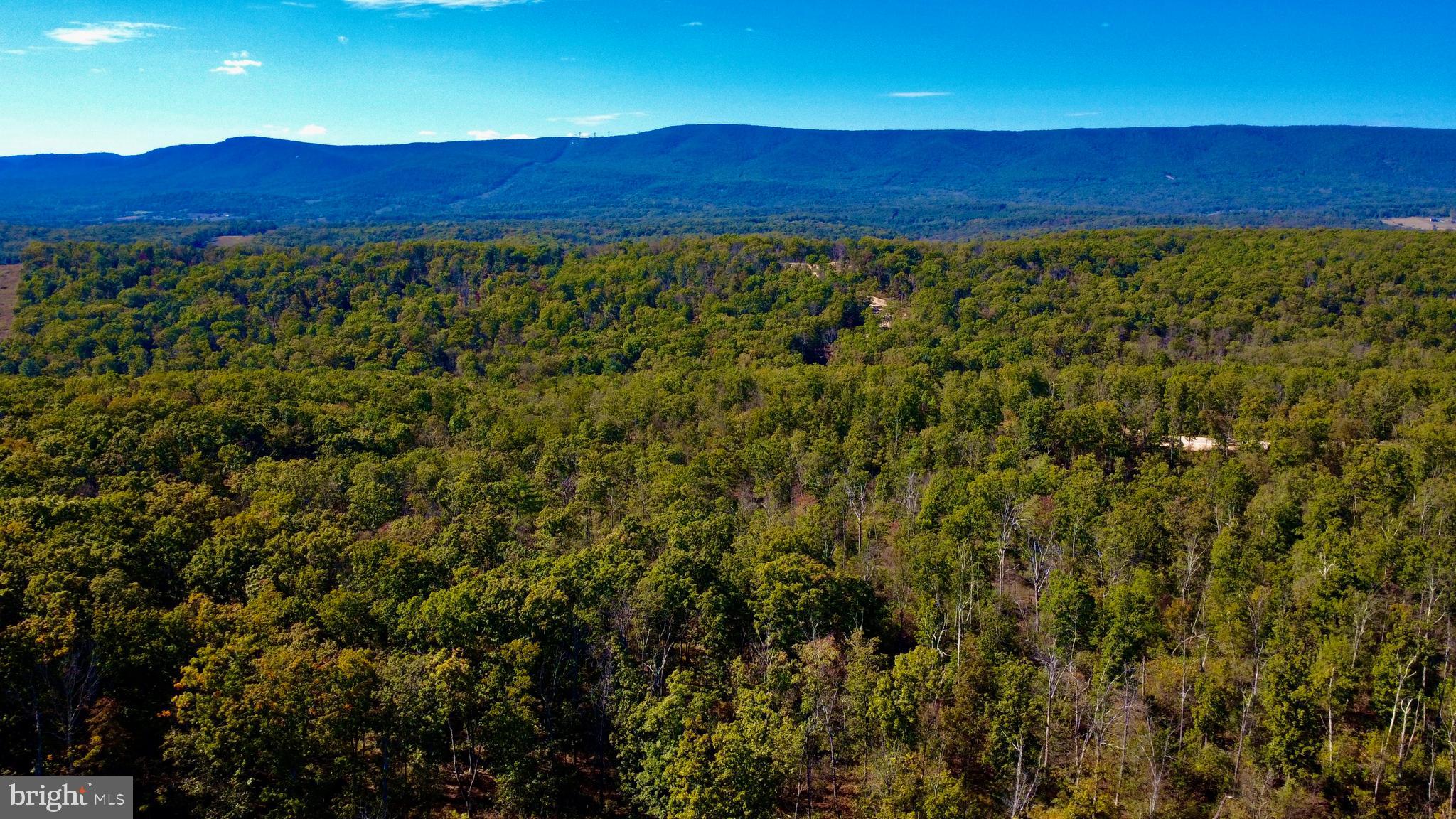 439-acres Laurel Grove Road Winchester, VA 22602 - Photo 54 of 61