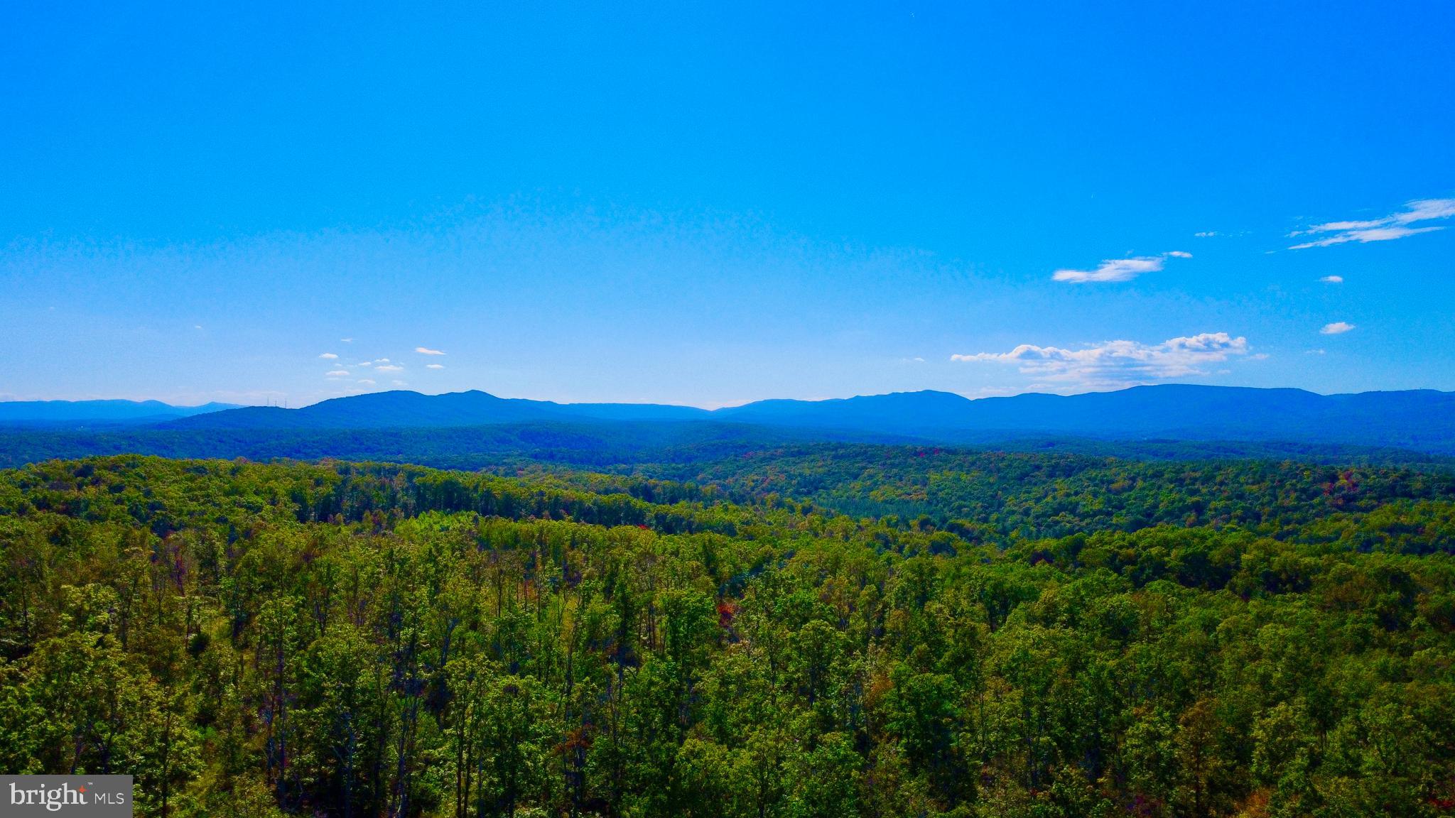 439-acres Laurel Grove Road Winchester, VA 22602 - Photo 56 of 61