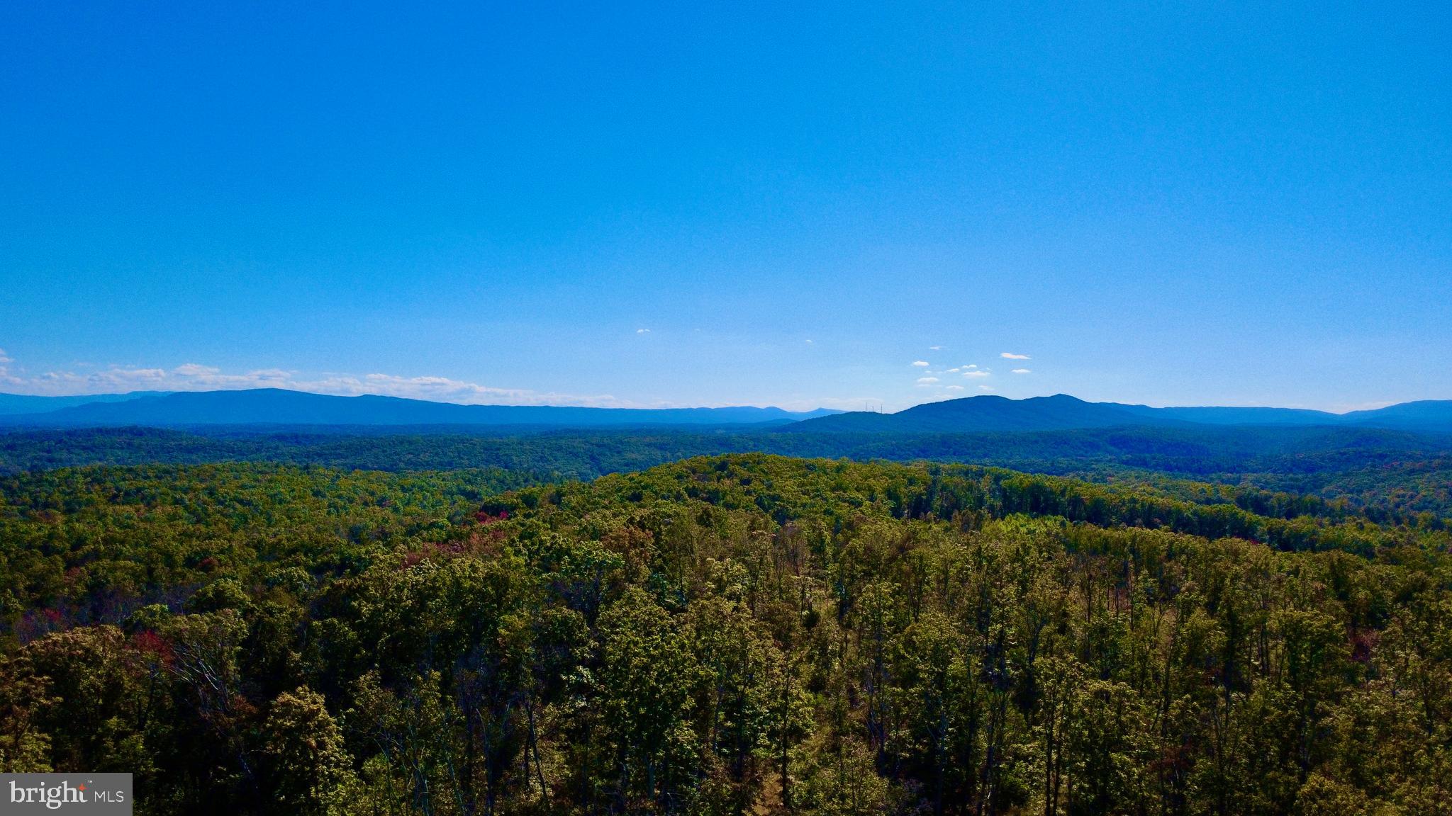 439-acres Laurel Grove Road Winchester, VA 22602 - Photo 57 of 61