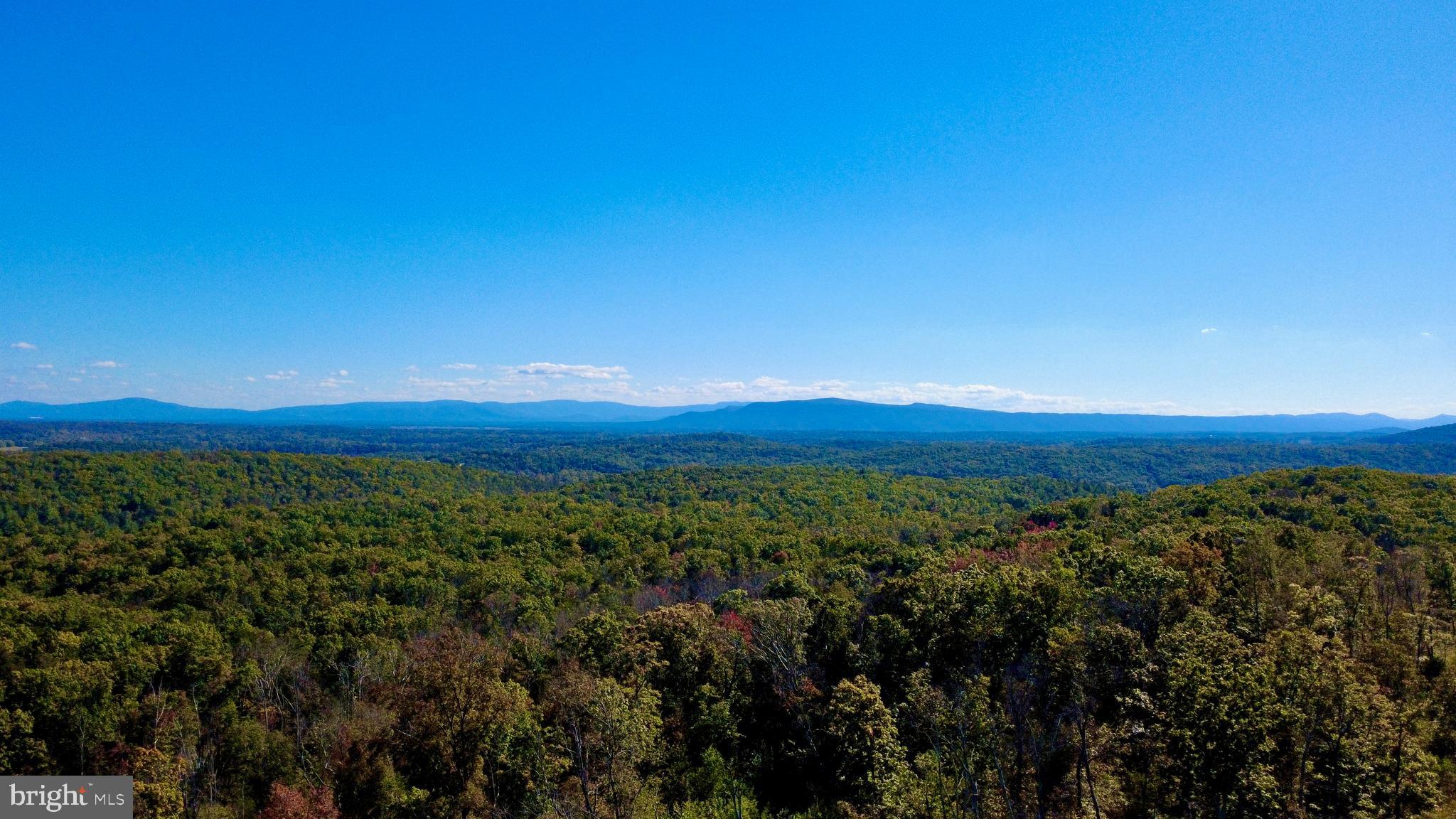 439-acres Laurel Grove Road Winchester, VA 22602 - Photo 58 of 61