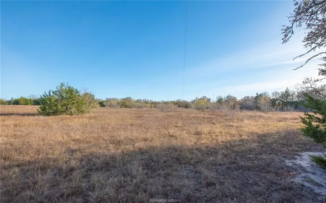 $394,000 | 132 - 21 Acres Caldwell Tx 77879, Somerville, TX 77879