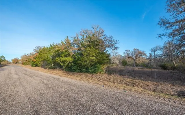 $394,000 | 132 - 21 Acres Caldwell Tx 77879, Somerville, TX 77879