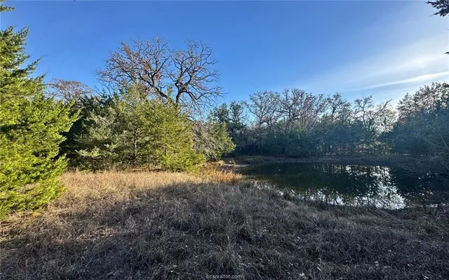$394,000 | 132 - 21 Acres Caldwell Tx 77879, Somerville, TX 77879