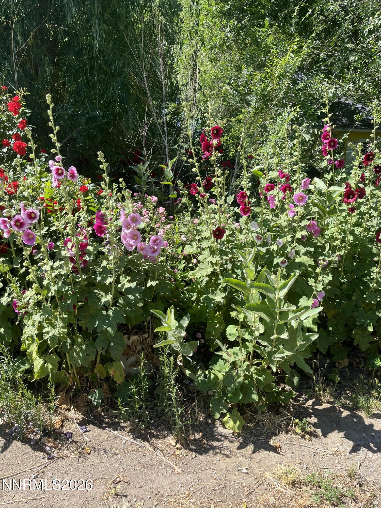 834 West Bridge Street Yerington, NV 89447 - Photo 10 of 21 IMG_0159