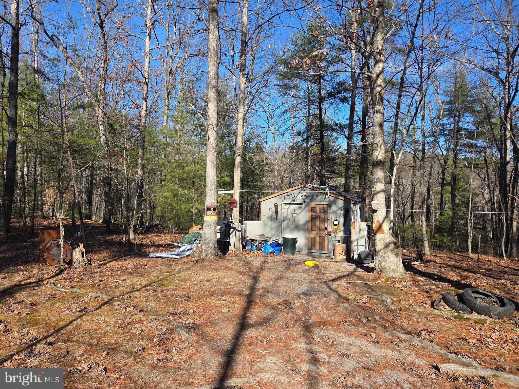 2034 Jerome Road Mount Jackson, VA 22842 - Photo 15 of 15 Shed with electric