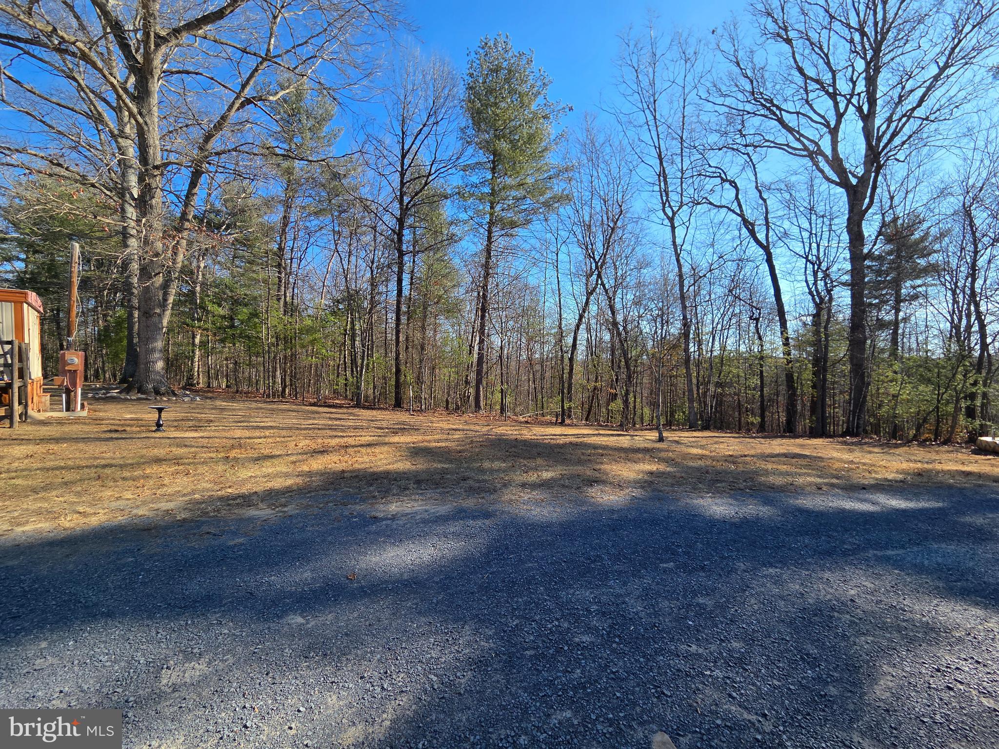 2034 Jerome Road Mount Jackson, VA 22842 - Photo 4 of 15 Cleared spot