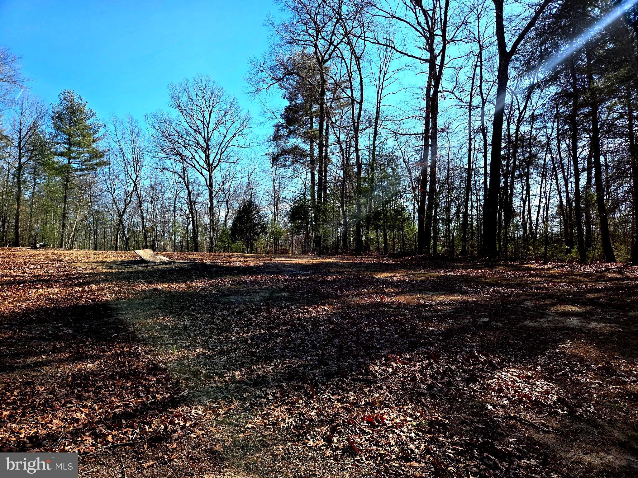 2034 Jerome Road Mount Jackson, VA 22842 - Photo 8 of 15 Views