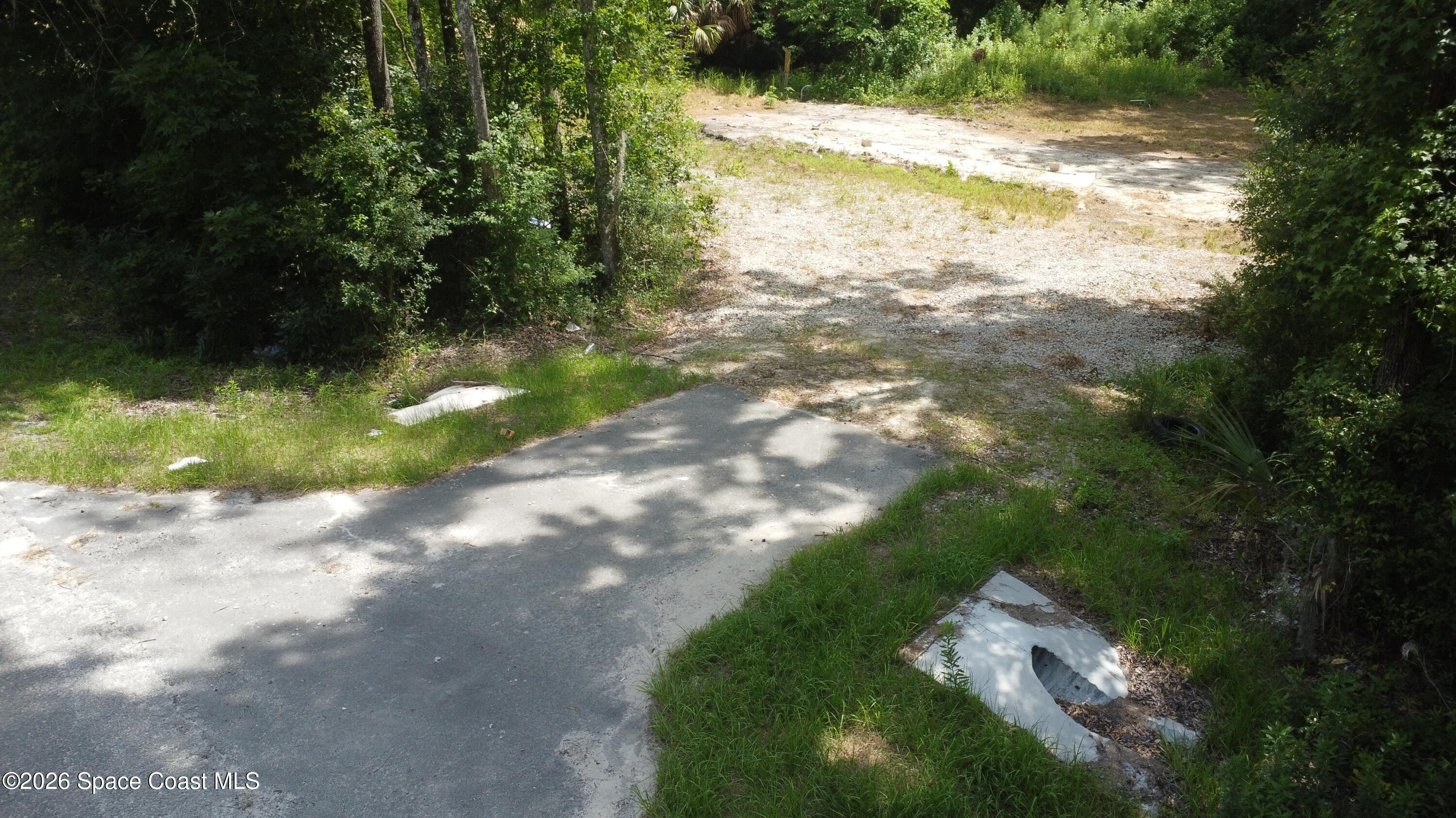 1130 Southwest 133rd Ave Road Ocala, FL 34481 - Photo 6 of 6 a view of a yard with plants and trees